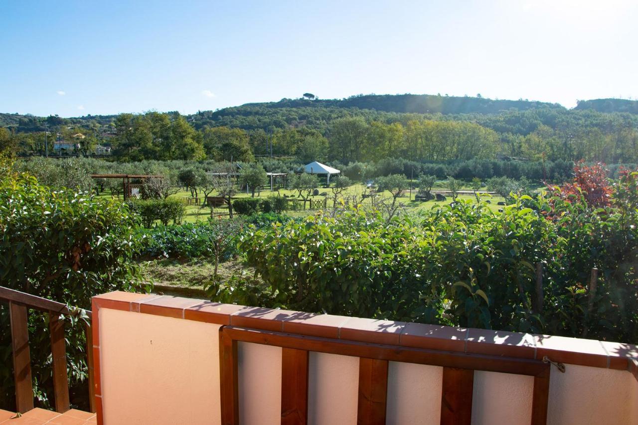 Iscairia Country House อาเชอา ภายนอก รูปภาพ
